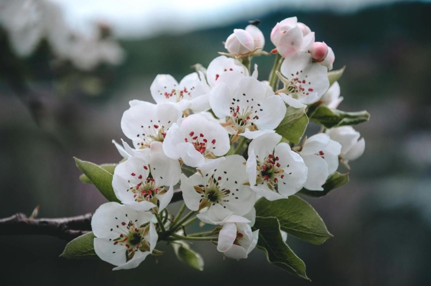 Tyxen Xtra floristlik atölyesi çalışma alanı